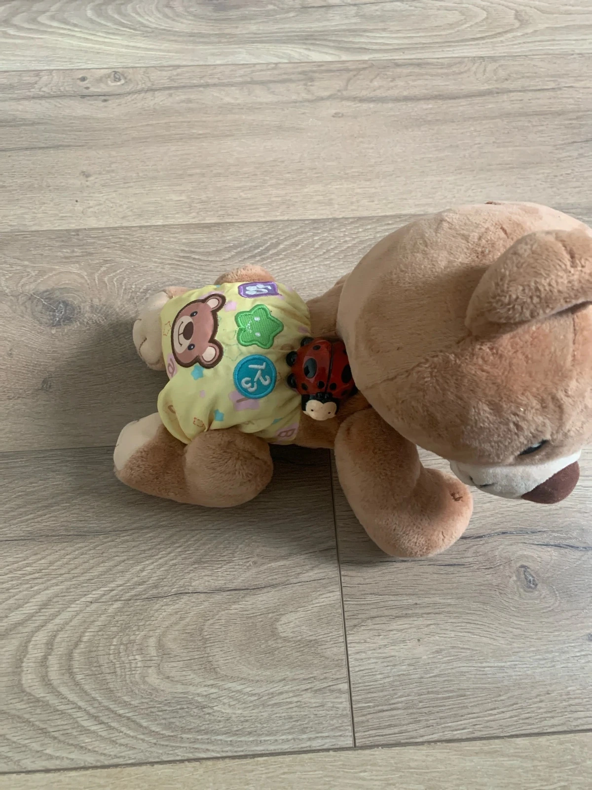 Ourson automate – photo 4